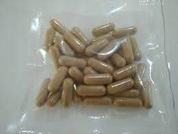 ibogafabbotanical